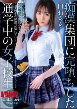 Mosaic T38-003 Momo Shiraishi, A Schoolgirl Commuting To School Who Completely Fell Into A Group Of Molesters