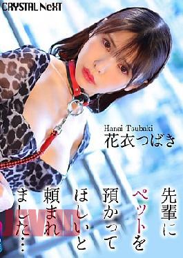 Mosaic CRNX-254 4K My Senior Asked Me To Take Care Of His Pet Hanagoromo Tsubaki