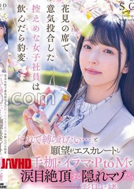 START-454 A Modest Female Employee Who Hit It Off At A Cherry Blossom Viewing Party Suddenly Changed When She Drank It, Her Desire Escalated, "I Want To Be Tied Up With This...", And She Was A Hidden Masochist Who Climaxed With Shackles, Irama, And PtoM! Nanao Saizuki 
