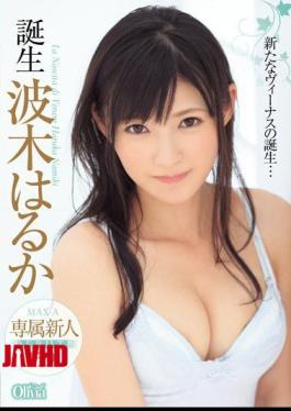 Mosaic XVSR-094 Birth Haruka Namiki