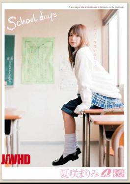 XV-738 School Days Only Summer Flowering Mari