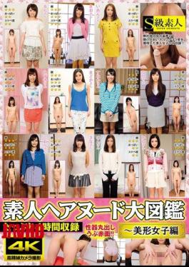 SABA-229 Amateur Hair Nude Large Picture Book - Filled With Beautiful Women Knitting