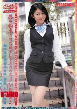 Mosaic SAD-047 Working Woman2 17