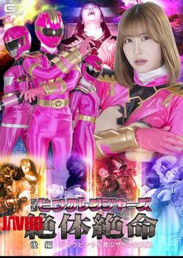 Mosaic SPSF-22 Sentai Pink Rangers In Desperate Straits - Part 2: The Zain Four Brothers Toy With Juu Pink - Ayumi Natsukawa