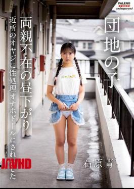 Mosaic FTHTD-212 A Girl From A Housing Complex Was Turned Into A Sex Doll By A Neighborhood Old Man One Afternoon When Her Parents Were Away. - Aoi Ishihara